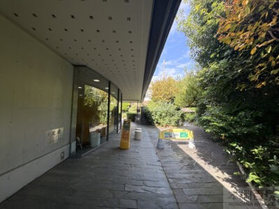 調布市武者小路実篤記念館